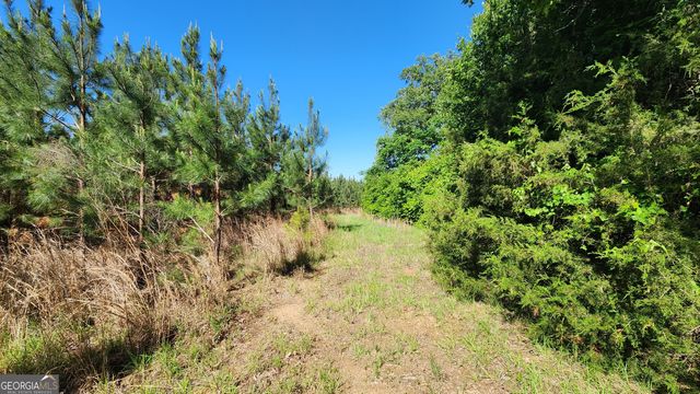 246 Melton Mill Road, Dawson, GA 39842