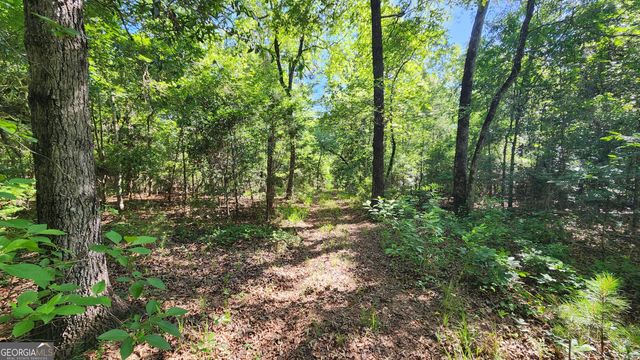 246 Melton Mill Road, Dawson, GA 39842