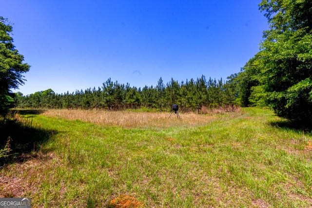 246 Melton Mill Road, Dawson, GA 39842