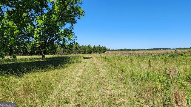 246 Melton Mill Road, Dawson, GA 39842