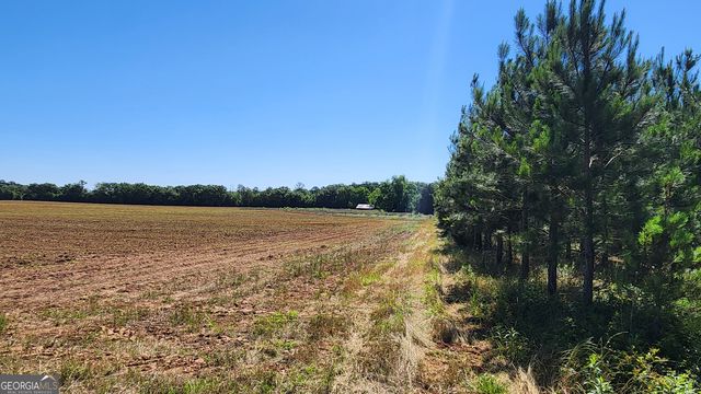 246 Melton Mill Road, Dawson, GA 39842
