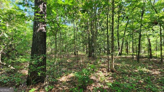 246 Melton Mill Road, Dawson, GA 39842