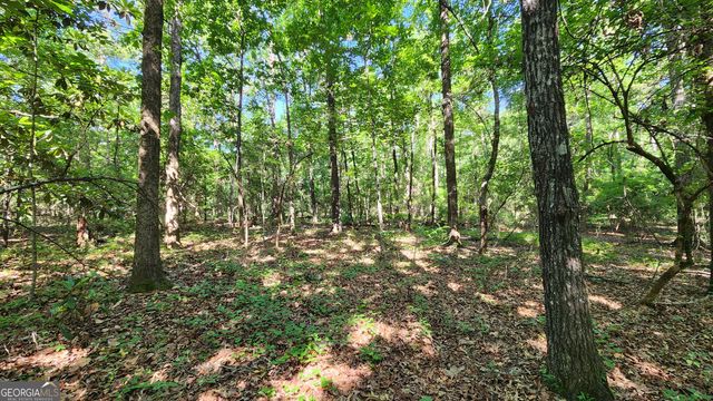 246 Melton Mill Road, Dawson, GA 39842
