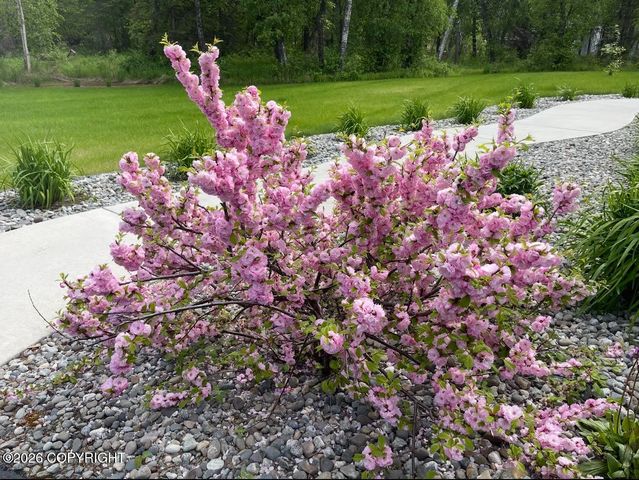 3972 N Snowgoose Road, Palmer, AK 99645