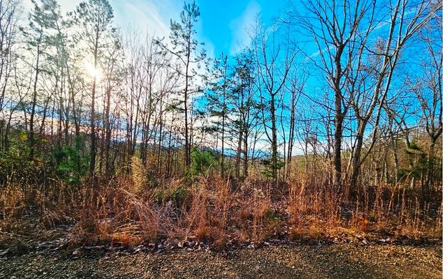 270 Graystone Drive, Murphy, NC 28906