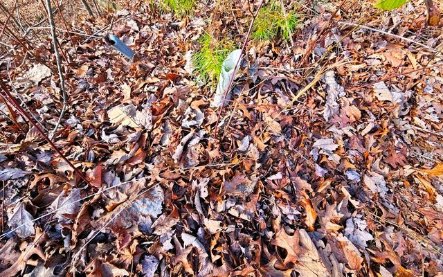 270 Graystone Drive, Murphy, NC 28906