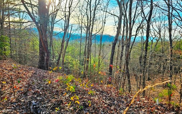 270 Graystone Drive, Murphy, NC 28906