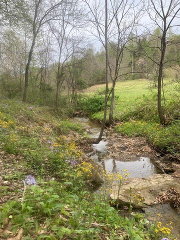 105 Chambers Fork Road, Campton, KY 41301