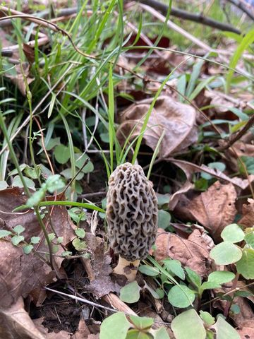 105 Chambers Fork Road, Campton, KY 41301