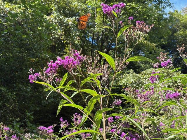 105 Chambers Fork Road, Campton, KY 41301