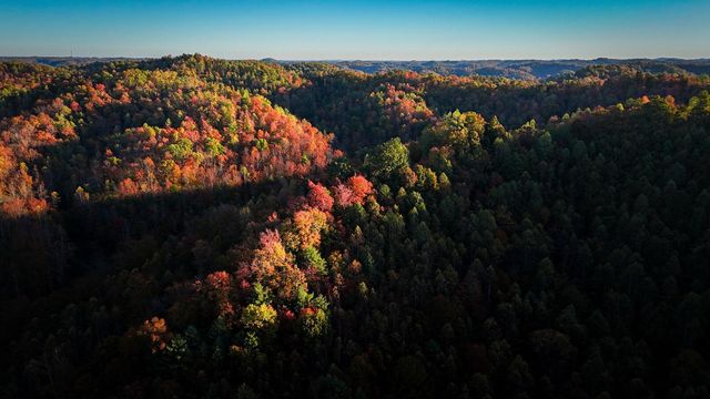 105 Chambers Fork Road, Campton, KY 41301