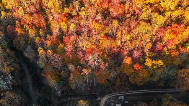 105 Chambers Fork Road, Campton, KY 41301