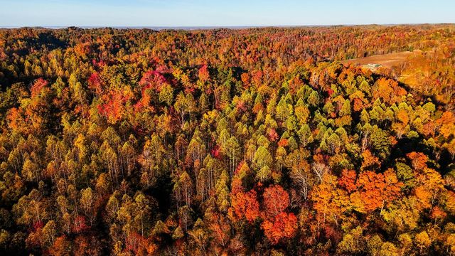 105 Chambers Fork Road, Campton, KY 41301