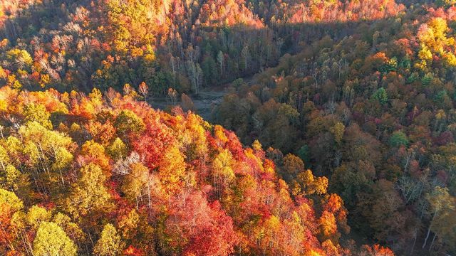 105 Chambers Fork Road, Campton, KY 41301