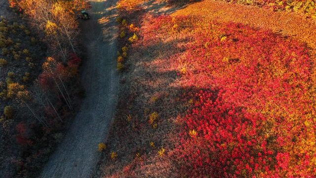 105 Chambers Fork Road, Campton, KY 41301