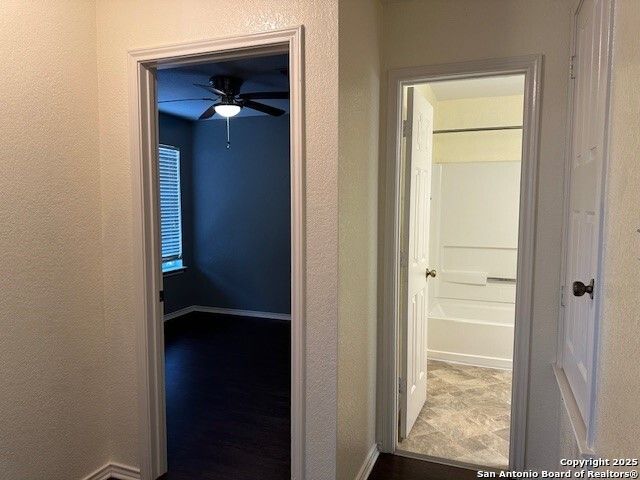 10019 Tiger Bay, San Antonio, TX 78251