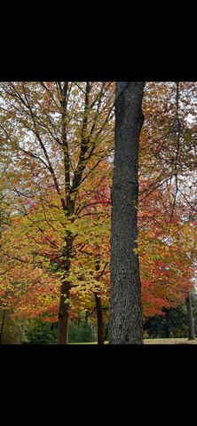 5440 Ridge Trail N, Clarkston, MI 48348
