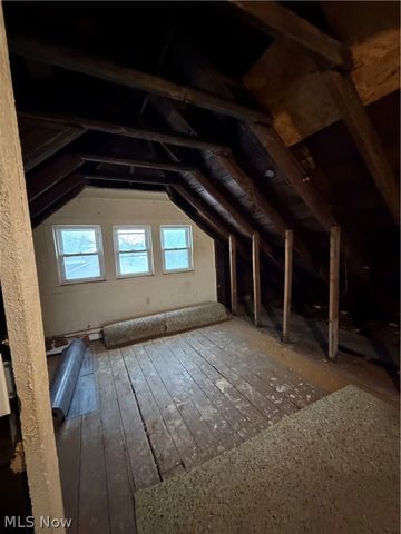 724 E 133rd Street, Cleveland, OH 44110