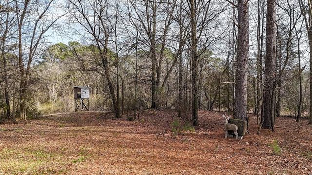 188 Richards NE Road, White, GA 30184