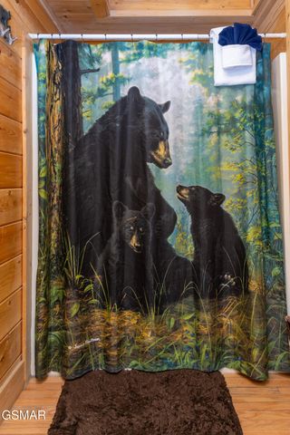 3539 Carsons Ridge Way, Sevierville, TN 37862