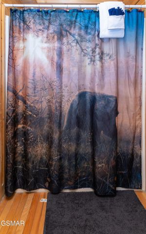 3539 Carsons Ridge Way, Sevierville, TN 37862