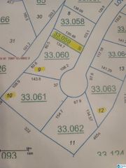 00 LOWER LAKE DRIVE, Odenville, AL 35120