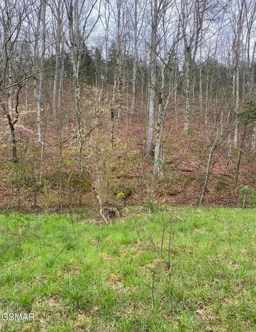 Lot Tr3 Gists Creek Road, Sevierville, TN 37876
