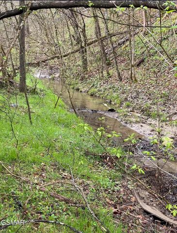 Lot Tr3 Gists Creek Road, Sevierville, TN 37876