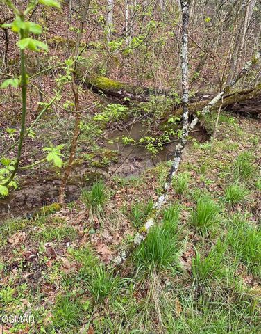Lot Tr3 Gists Creek Road, Sevierville, TN 37876