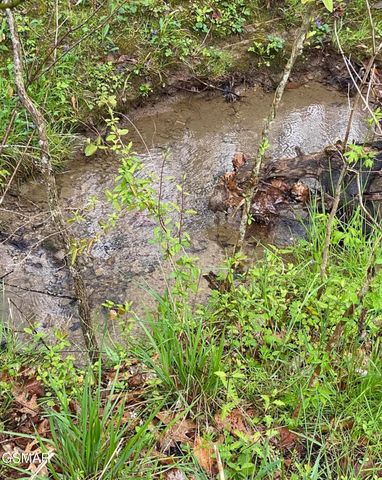 Lot Tr3 Gists Creek Road, Sevierville, TN 37876