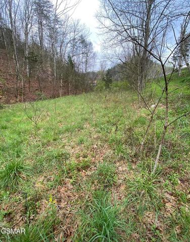 Lot Tr3 Gists Creek Road, Sevierville, TN 37876