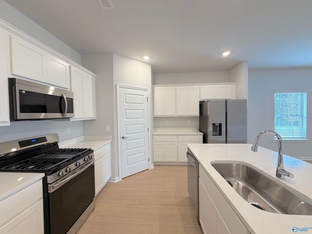 11017 Wayland Ridge Drive, Madison, AL 35756