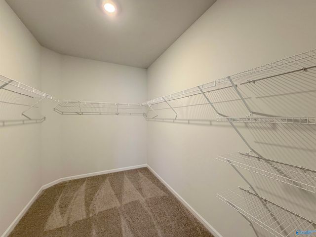 11017 Wayland Ridge Drive, Madison, AL 35756