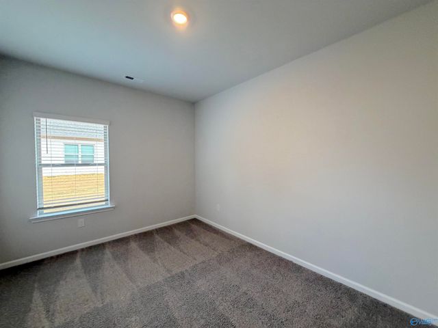 11017 Wayland Ridge Drive, Madison, AL 35756