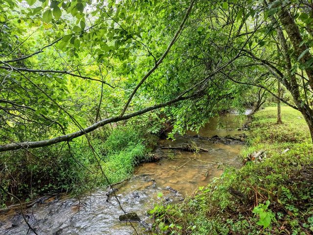 881 Aska Road, Blue Ridge, GA 30513