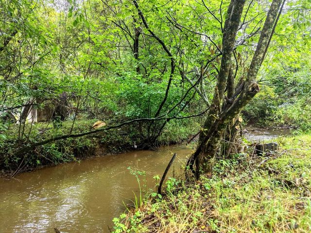881 Aska Road, Blue Ridge, GA 30513