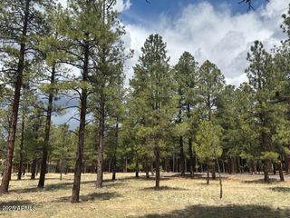 Lot 1 Hattie Greene -- 1, Flagstaff, AZ 86001