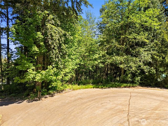 16217 232nd Street Ct E, Graham, WA 98338