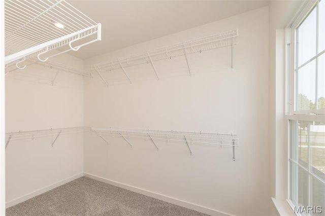 242 Kerry Downs Drive, Dardenne Prairie, MO 63368