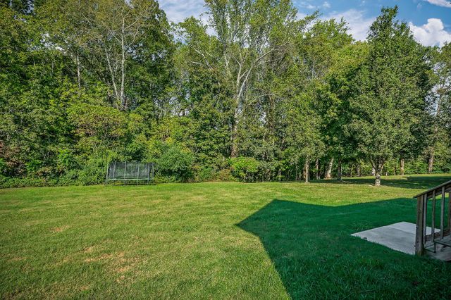 158 Briarwood Ln, Smithville, TN 37166