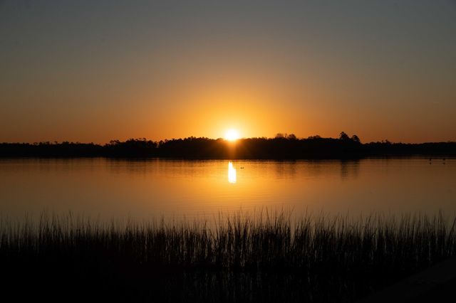 126 Fairbanks Drive, Charleston, SC 29492