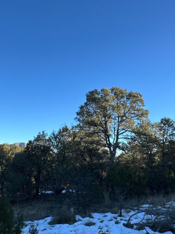 19 Bolivar Loop, Tijeras, NM 87059