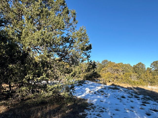 19 Bolivar Loop, Tijeras, NM 87059