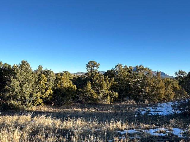 19 Bolivar Loop, Tijeras, NM 87059