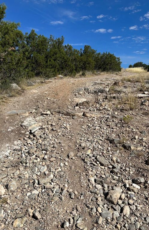 Image 17 of property listing at 71 Sunset Boulevard, Edgewood, NM 87015