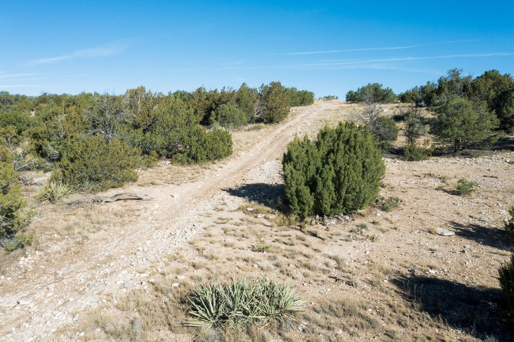 Image 5 of property listing at 71 Sunset Boulevard, Edgewood, NM 87015