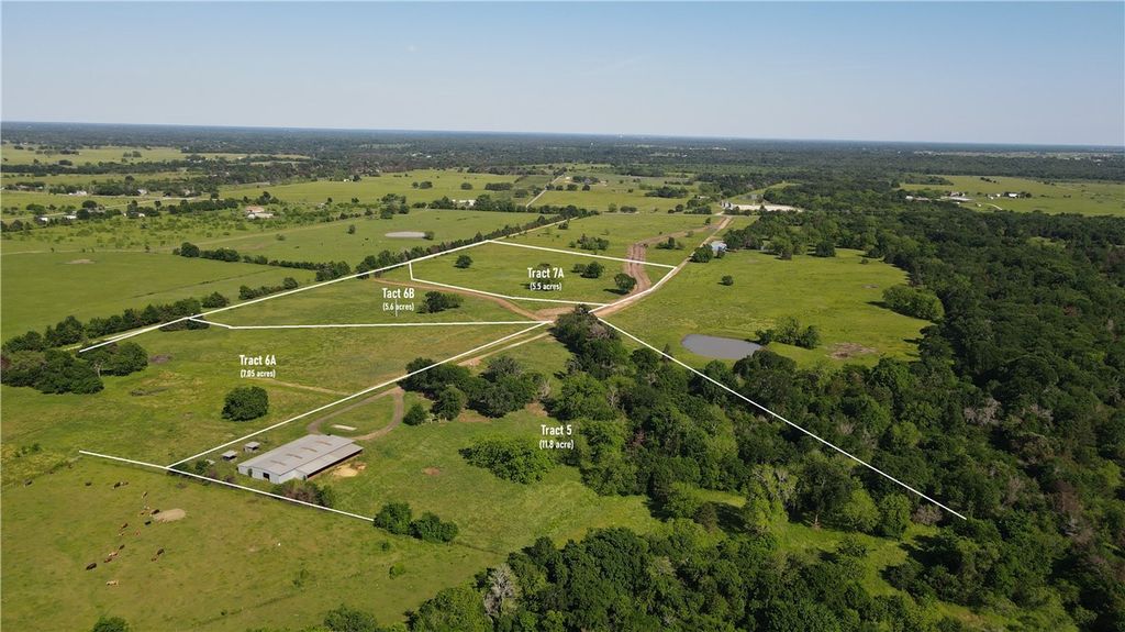 TBD Hudson Farms Road Tract 6B (+/-5.6190 acres), Franklin, TX 77859 — photo 3