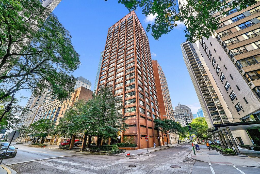 247 E Chestnut Street 1301, Chicago, IL 60611