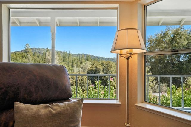 17050 Rams Horn Grade, Volcano, CA 95689