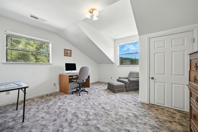 17050 Rams Horn Grade, Volcano, CA 95689